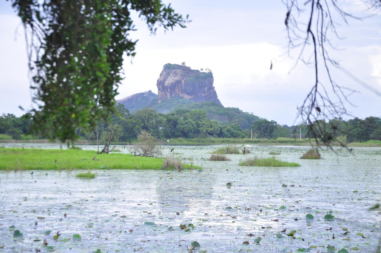 Rock Lake Home Stay Sigiriya Bagian luar foto