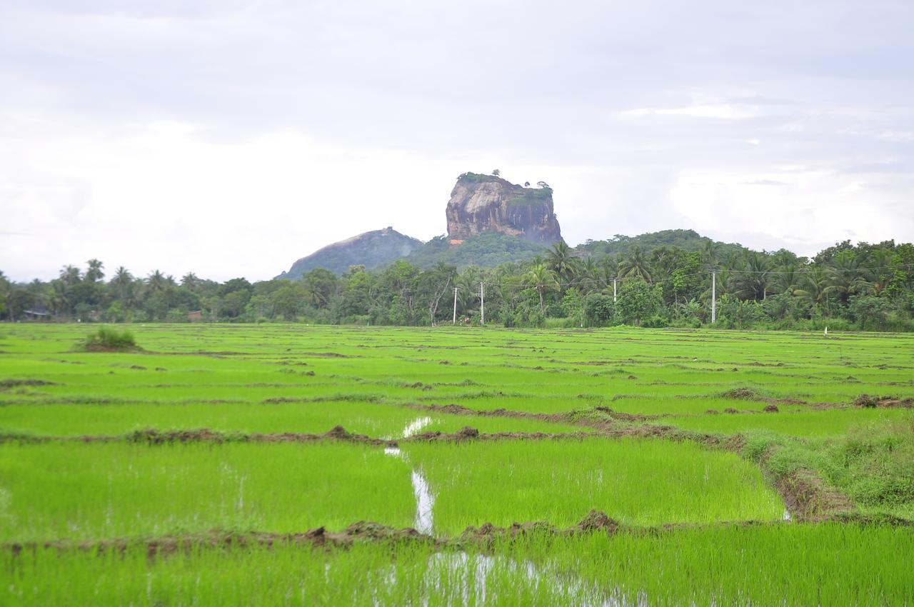 Rock Lake Home Stay Sigiriya Bagian luar foto