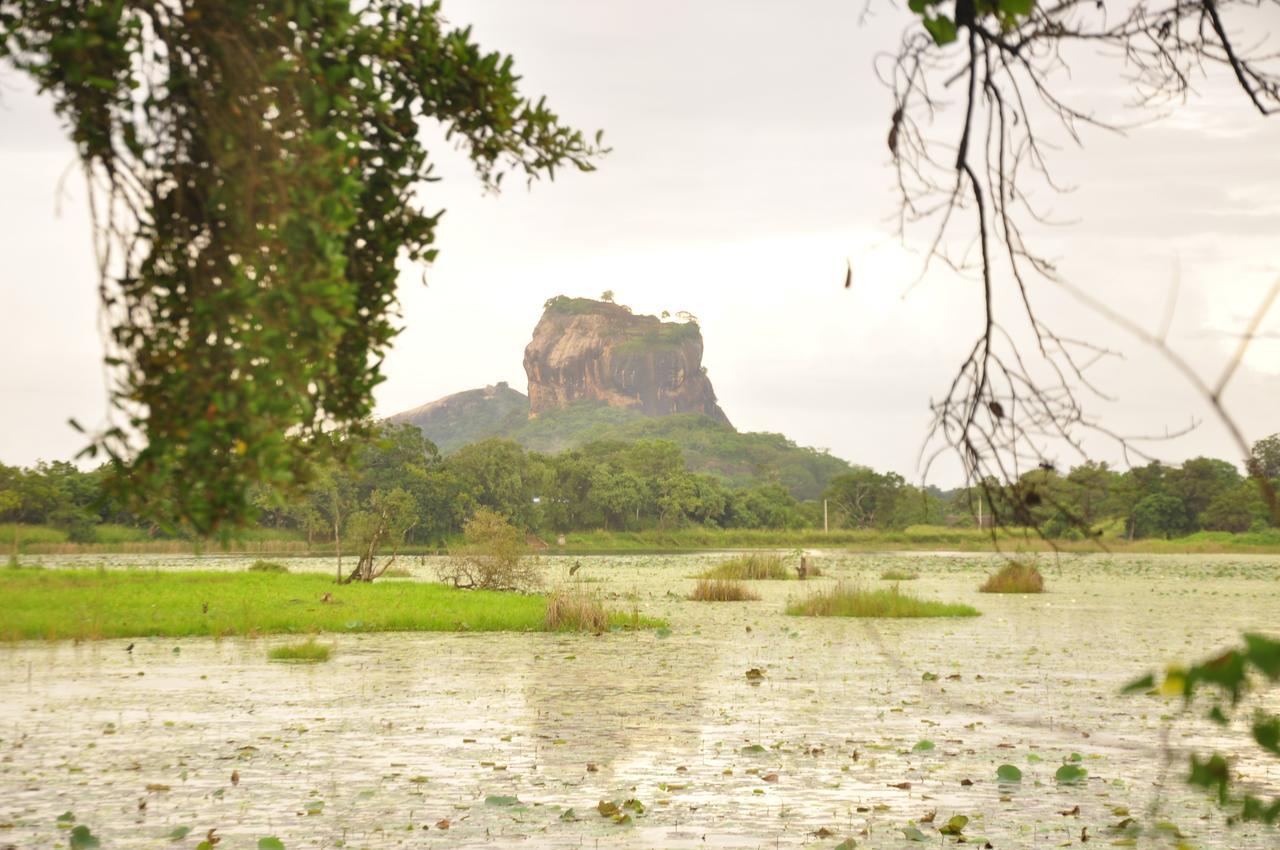 Rock Lake Home Stay Sigiriya Bagian luar foto